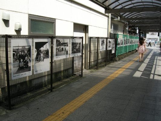 日野駅歩道（駅舎側）