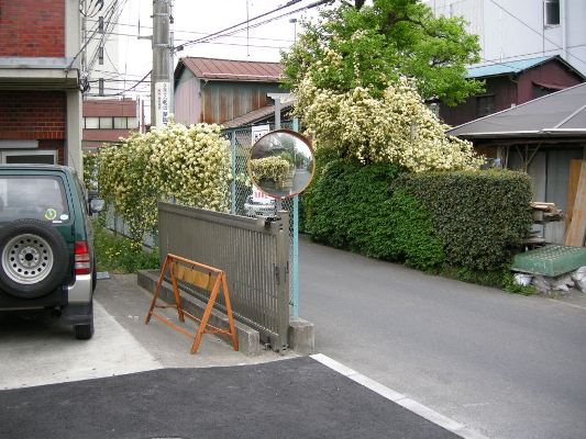 普門寺側から南側