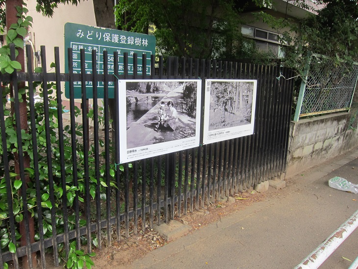 八坂神社裏の用水