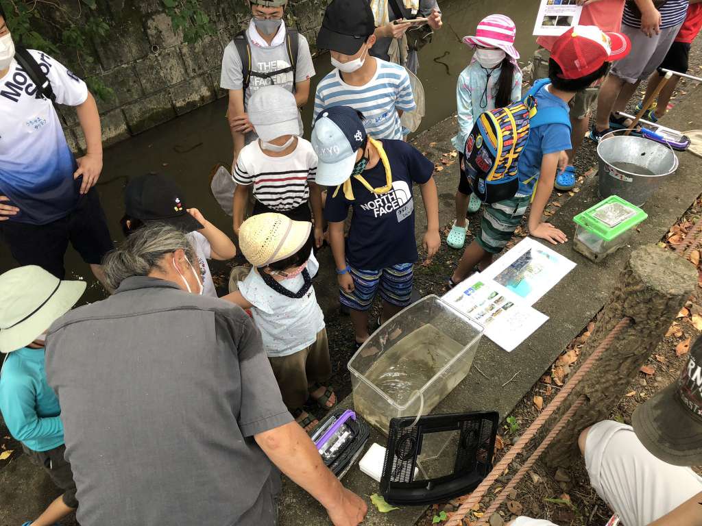 夏休み！親子で調べよう日野用水